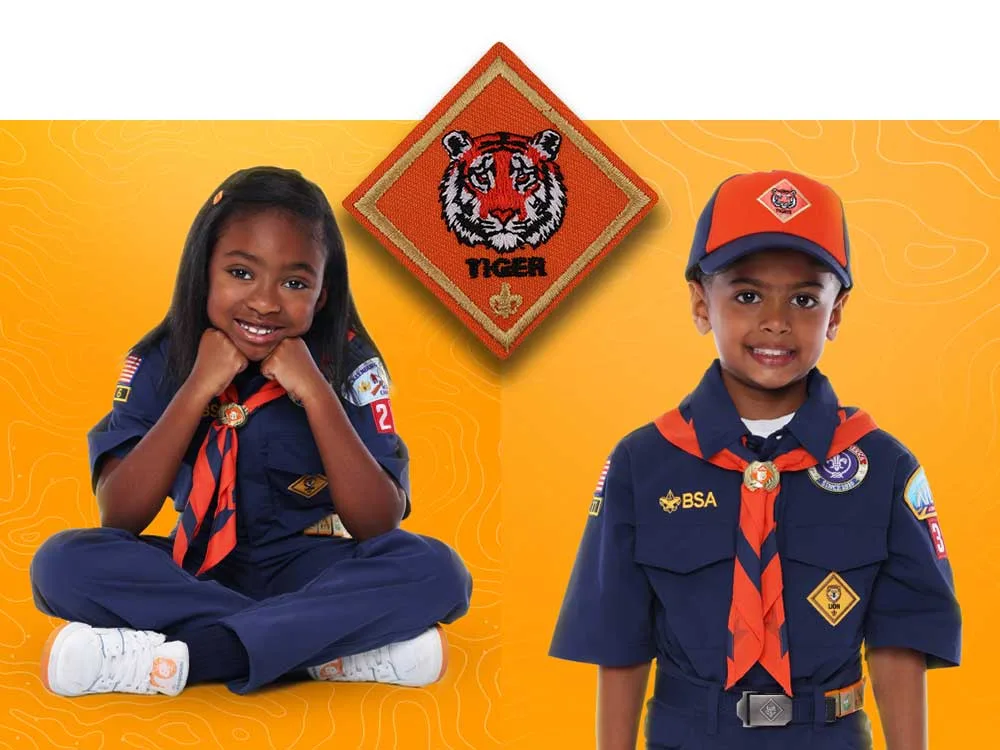rank 2 tiger